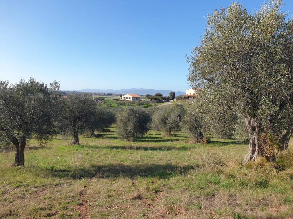 Terreno a Grosseto in Strada Provinciale dei Laghi, 1 - Foto 5
