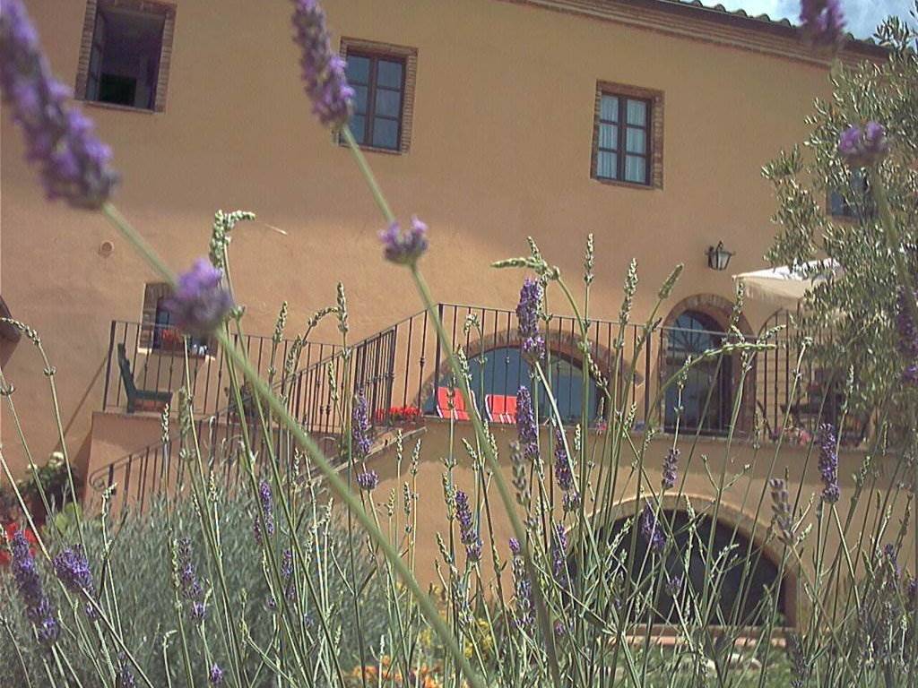 Rustico / casale a Campagnatico in strda provinciale voltina, 100 - Foto 3