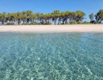 Appartamento a Sellia marina - Foto 3