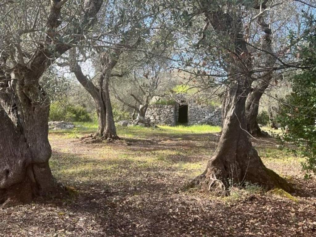 Terreno a Ostuni in Chiobbica S.N.C. - Foto 2