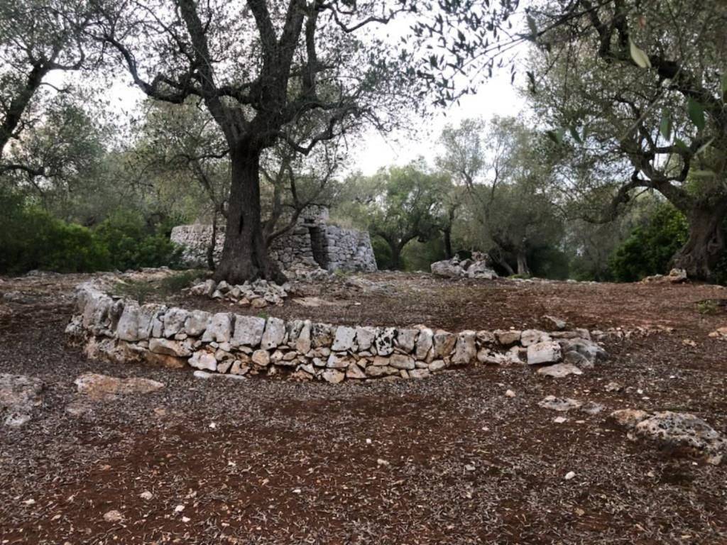 Terreno a Ostuni in Chiobbica S.N.C. - Foto 4