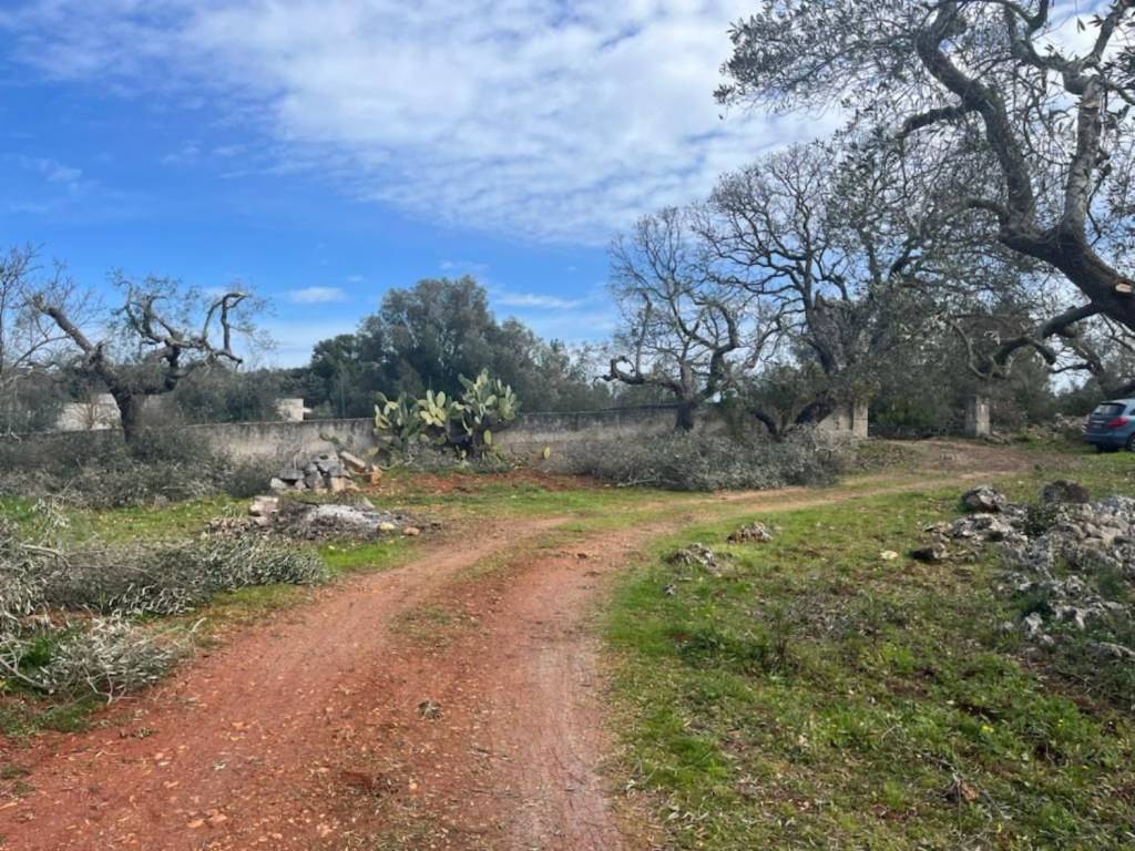 Terreno a Ostuni in Chiobbica S.N.C. - Foto 5
