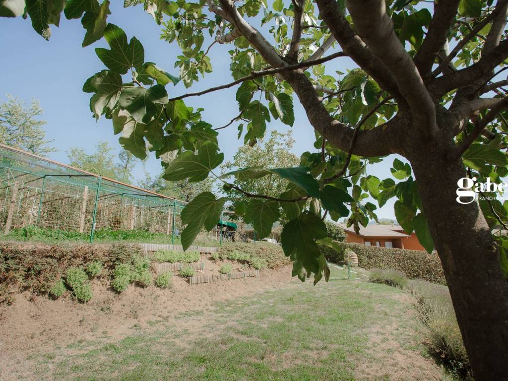 Terreno a La valletta brianza in via del chioso, 8 - Foto 4