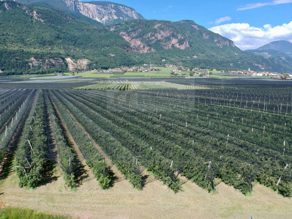 Terreno a Appiano sulla strada del vino in SP54 - Foto 2