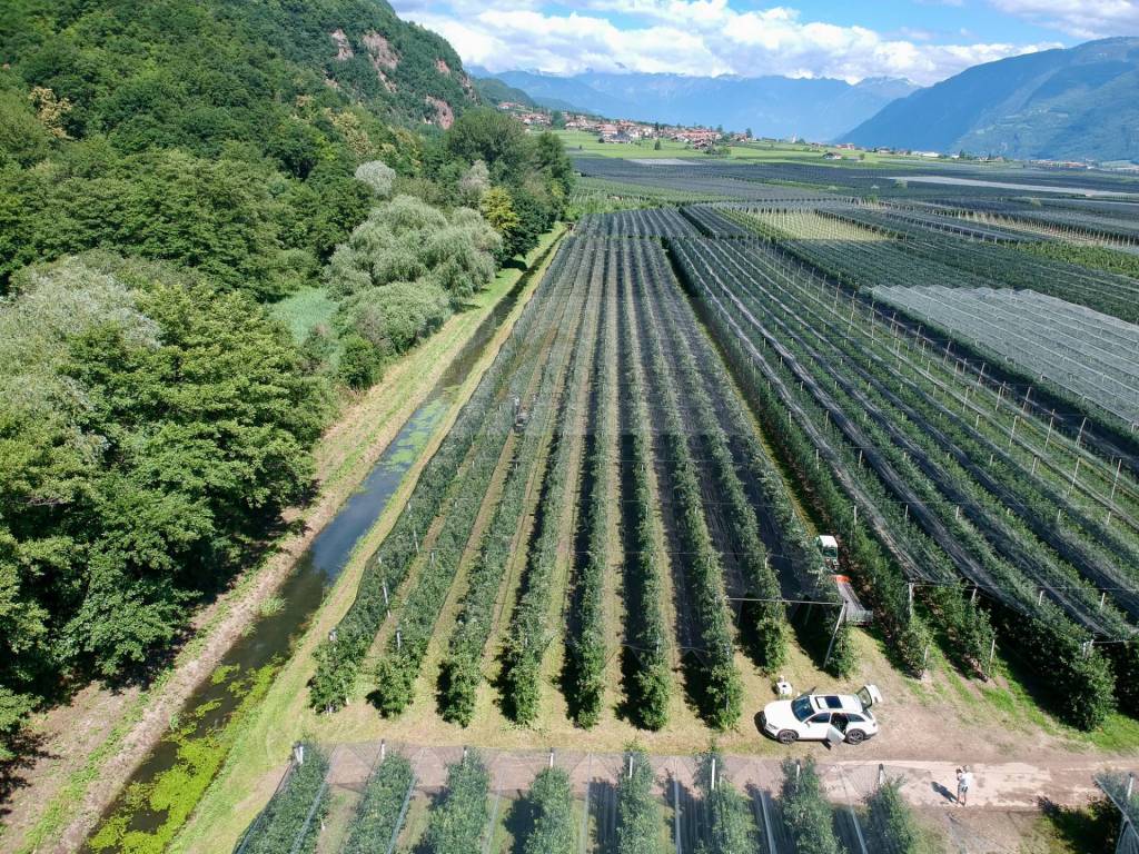 Terreno a Appiano sulla strada del vino in SP54 - Foto 2