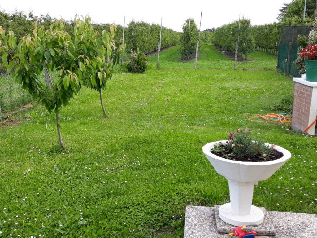 Villa a Ferrara - Foto 4