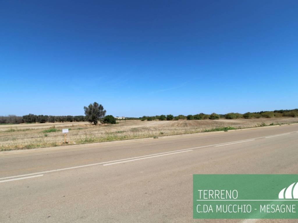 Terreno a Mesagne - Foto 2