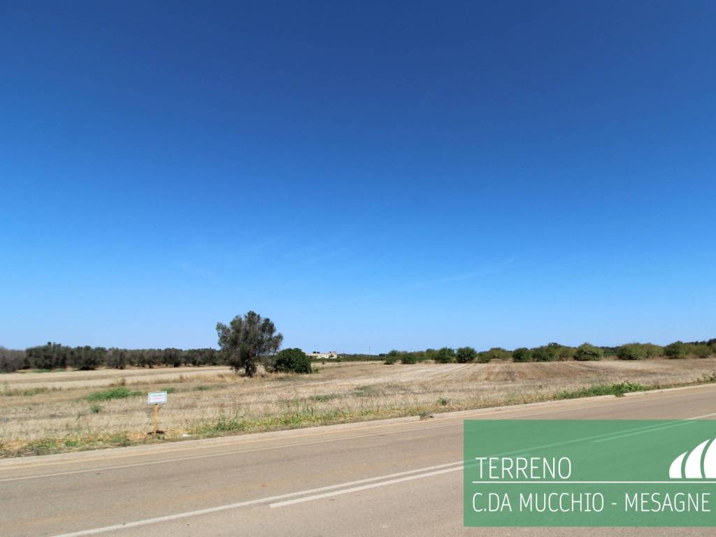 Terreno a Mesagne - Foto 3