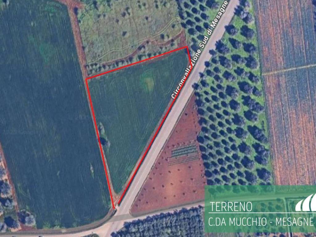 Terreno a Mesagne - Foto 4