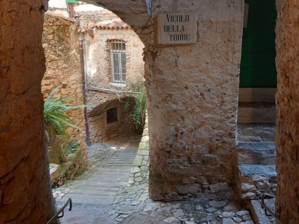 Immobile a Vallebona in Vicolo della Torre snc - Foto 4