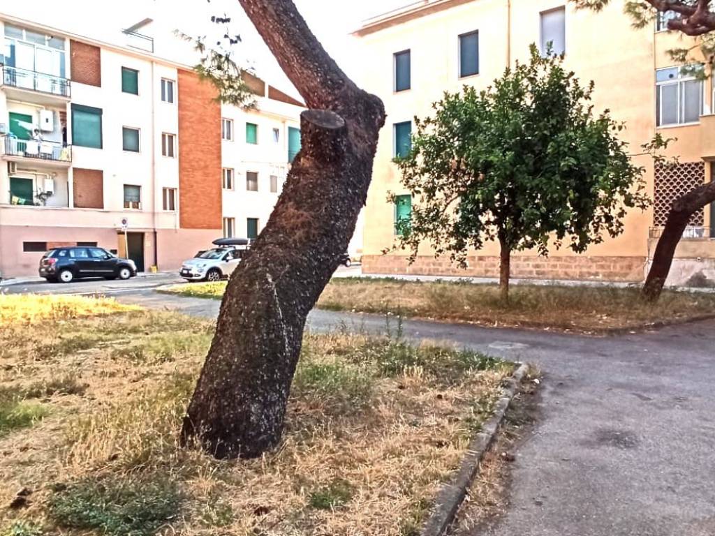 Appartamento a Francavilla fontana in Via Giuseppe Caforio - Foto 2