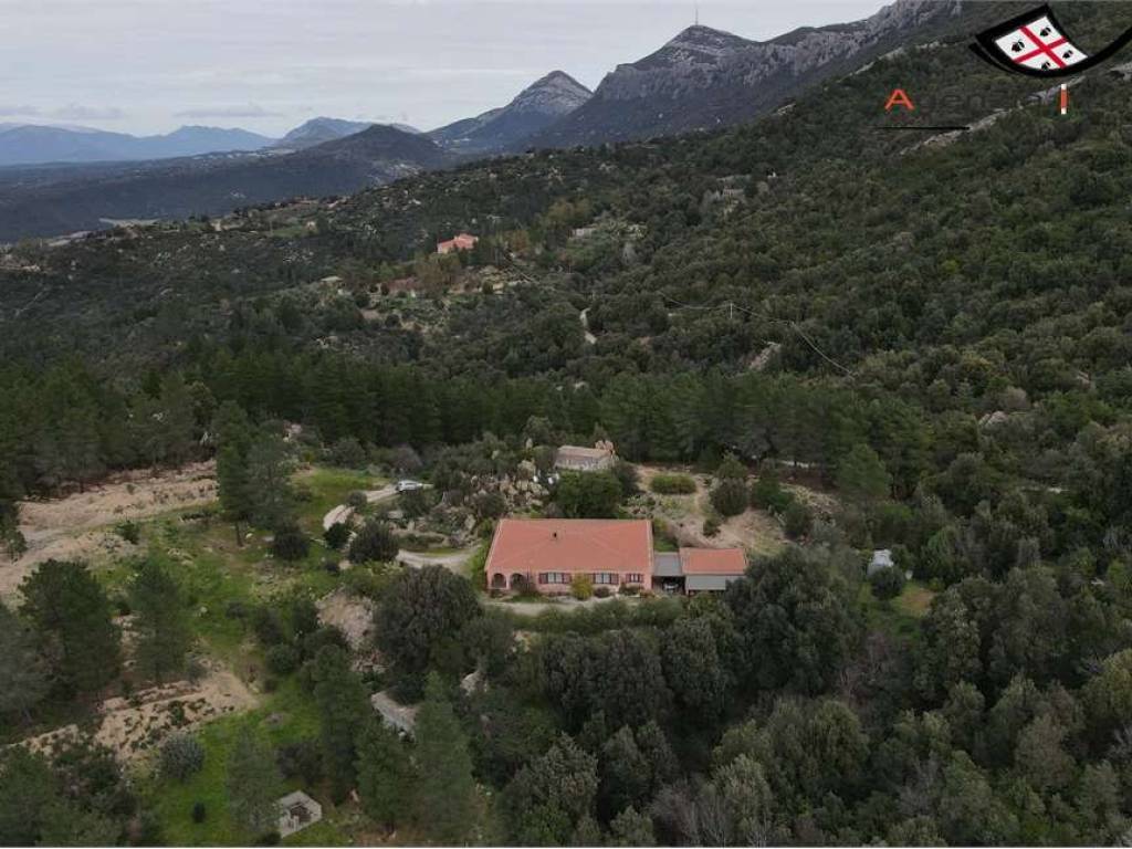 Casa indipendente a Dorgali - Foto 2