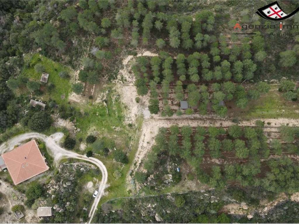 Casa indipendente a Dorgali - Foto 4