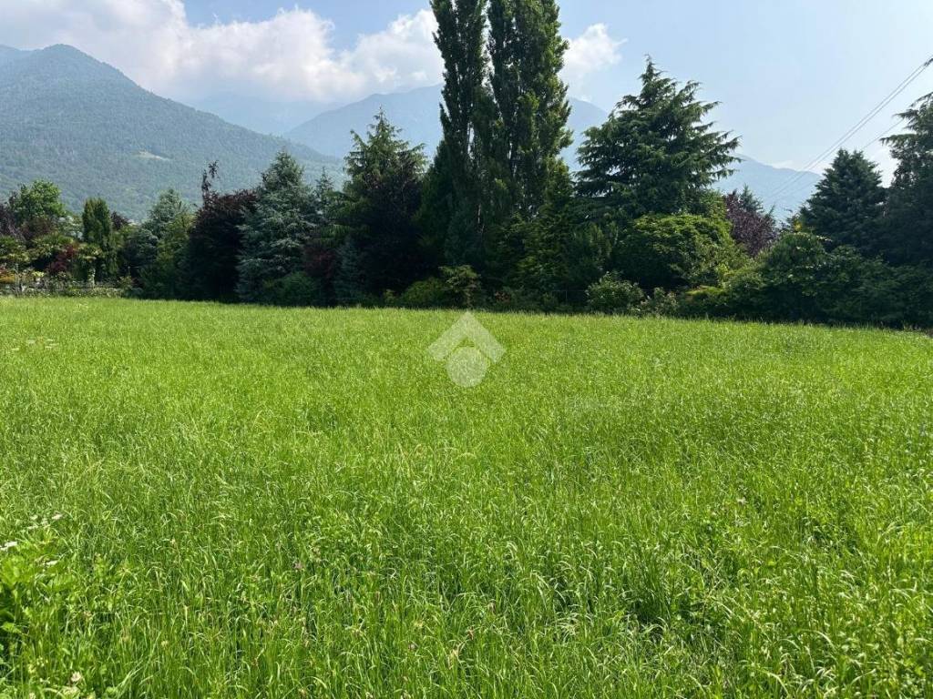 Terreno a Postalesio in Via Cedrasco - Foto 2