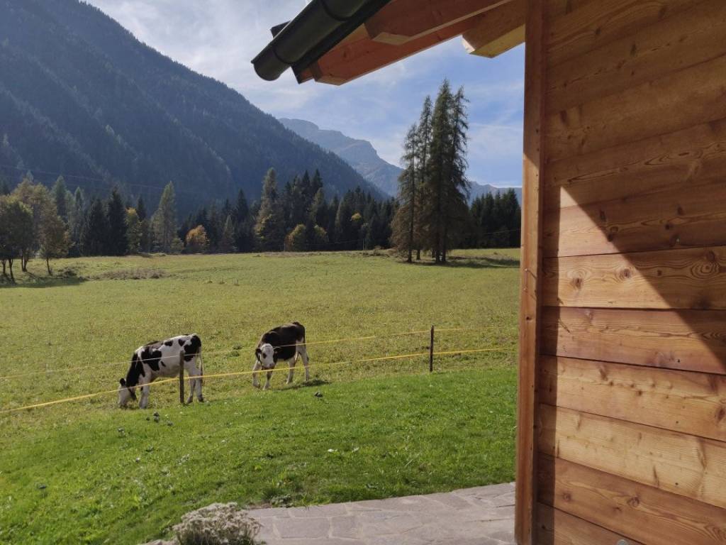 Casa indipendente a Falcade - Foto 3