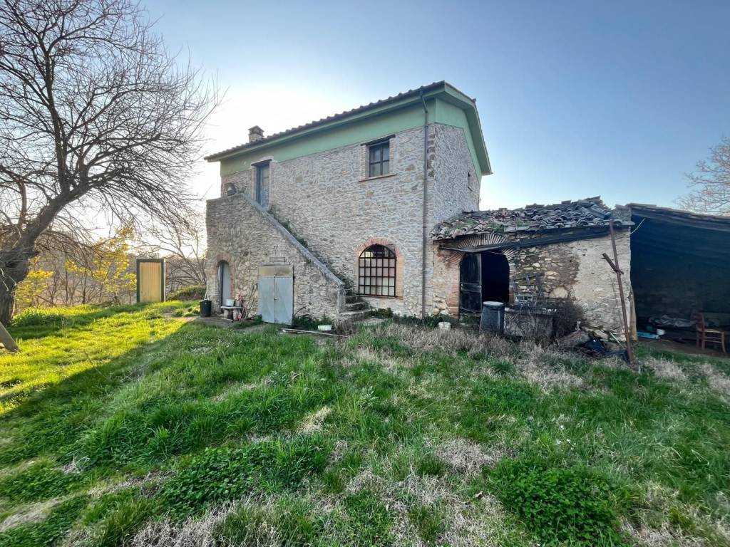 Rustico / casale a Orte in Strada Provinciale Vasanellese - Foto 2