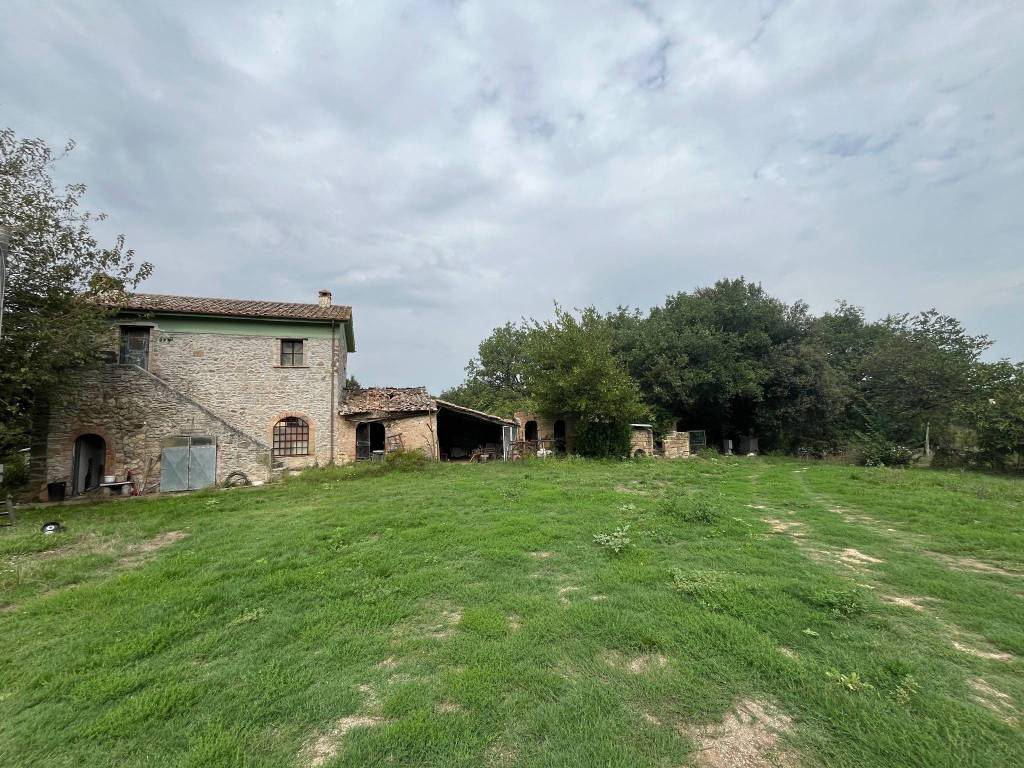 Rustico / casale a Orte in Strada Provinciale Vasanellese - Foto 5