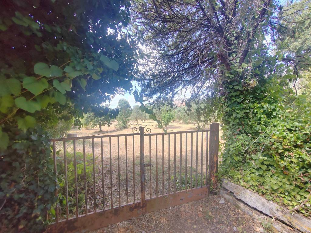 Terreno a Maenza in Contrada Sant'Eleuterio - Foto 3