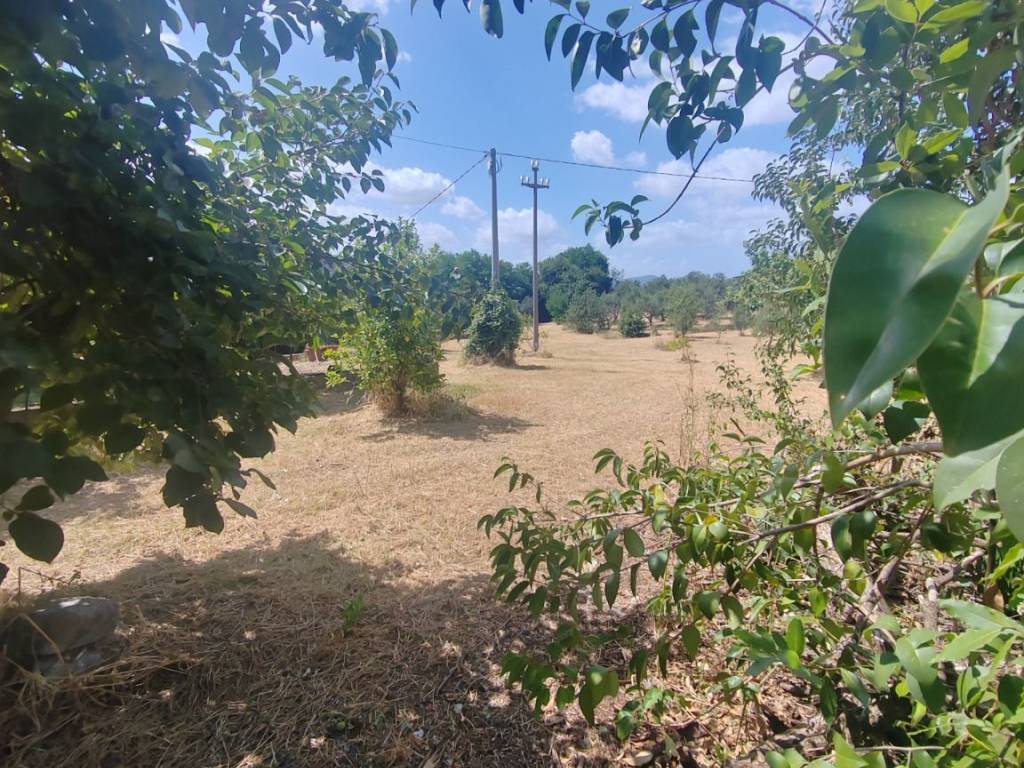 Terreno a Maenza in Contrada Sant'Eleuterio - Foto 4