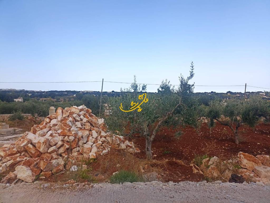 Rustico / casale a Ostuni in Contrada Galante - Foto 4