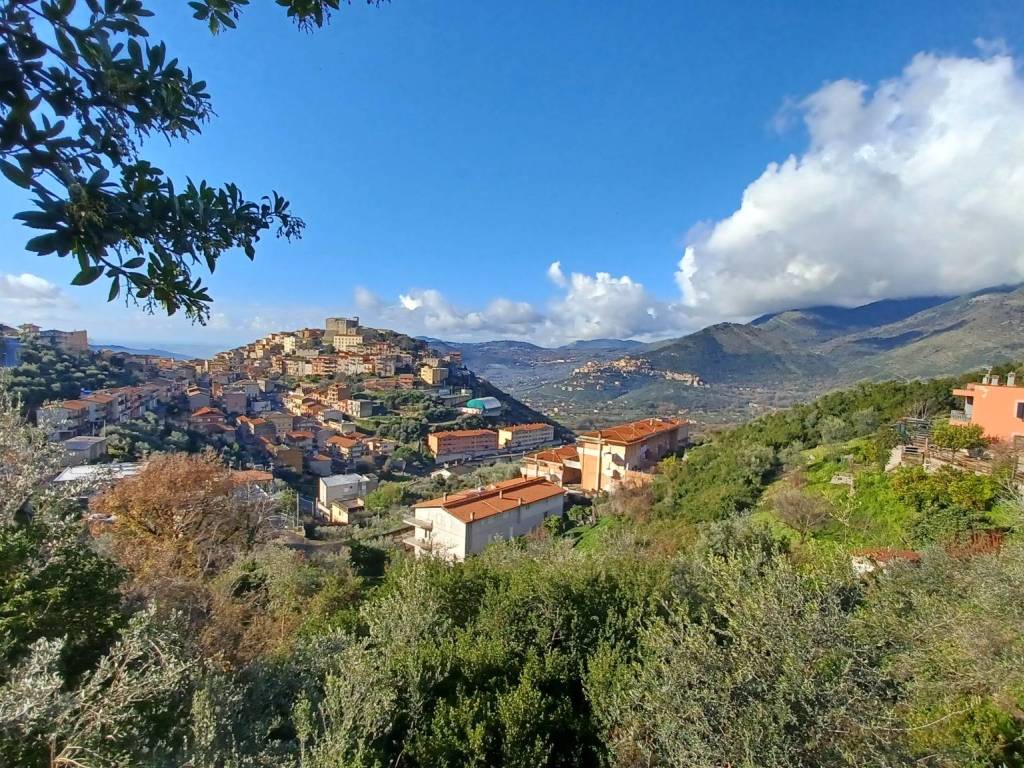 Terreno a Maenza - Foto 5