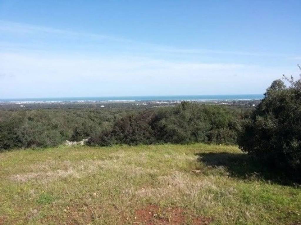 Villa a Carovigno in Strada Provinciale 33 - Foto 2