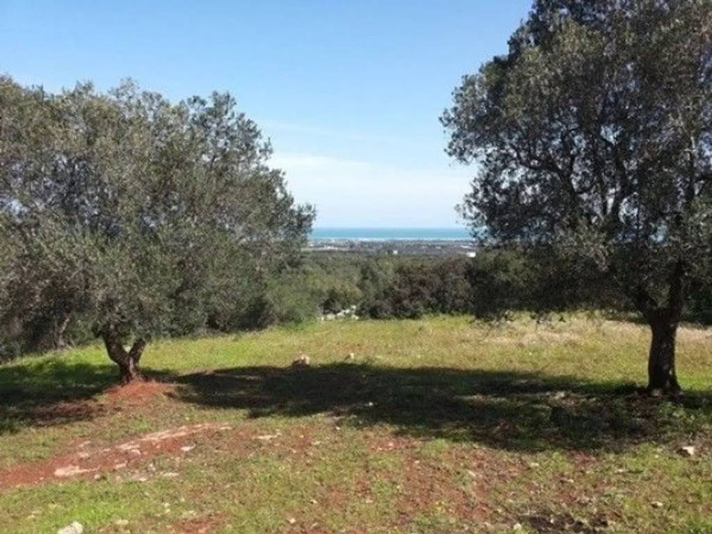 Villa a Carovigno in Strada Provinciale 33 - Foto 3
