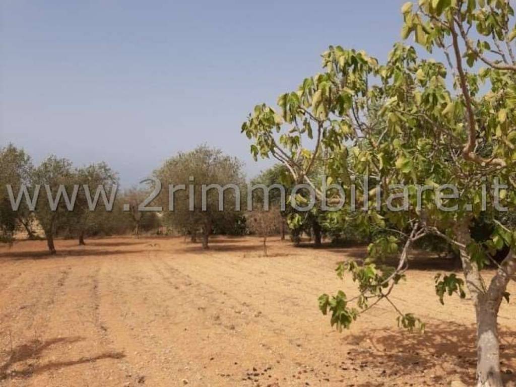 Terreno a Mazara del vallo - Foto 5
