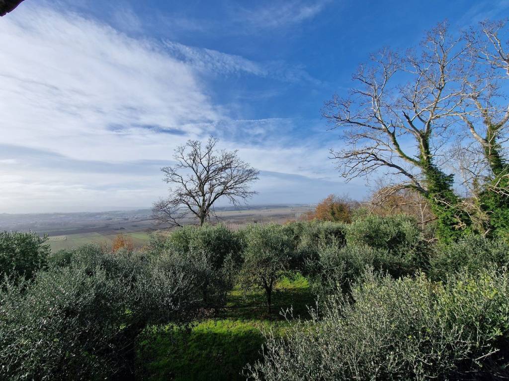 Rustico / casale a Palaia in Via Fonte Vecchia - Foto 4