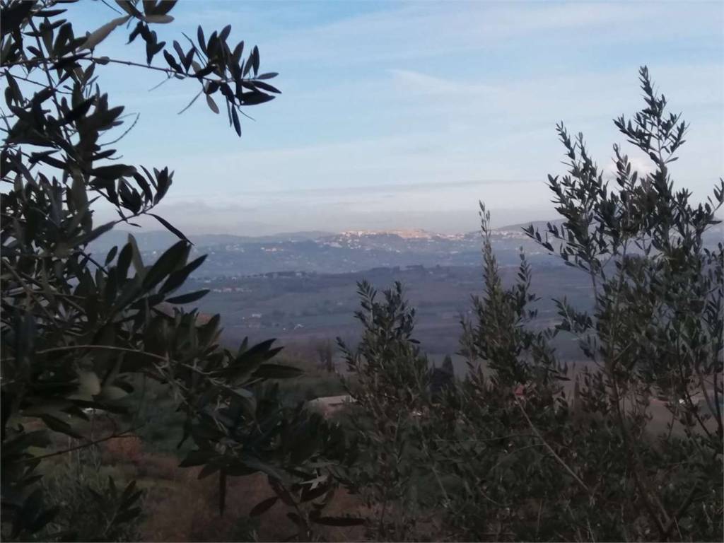 Terreno a Bettona - Foto 2