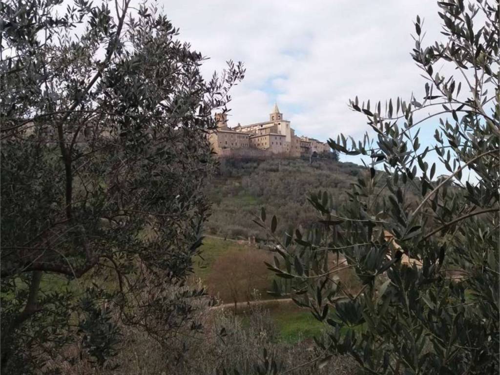 Terreno a Bettona - Foto 4