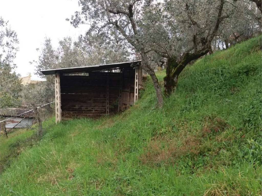 Terreno a Bettona - Foto 5