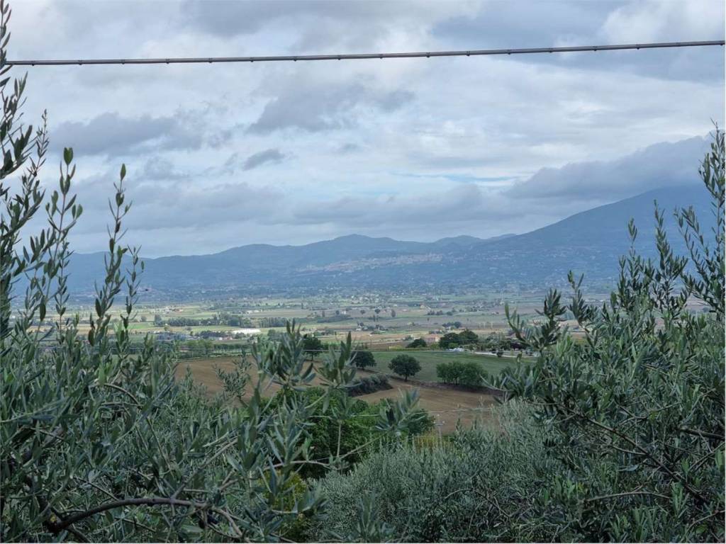 Terreno a Bevagna in Via Limigiano S.N.C. - Foto 2