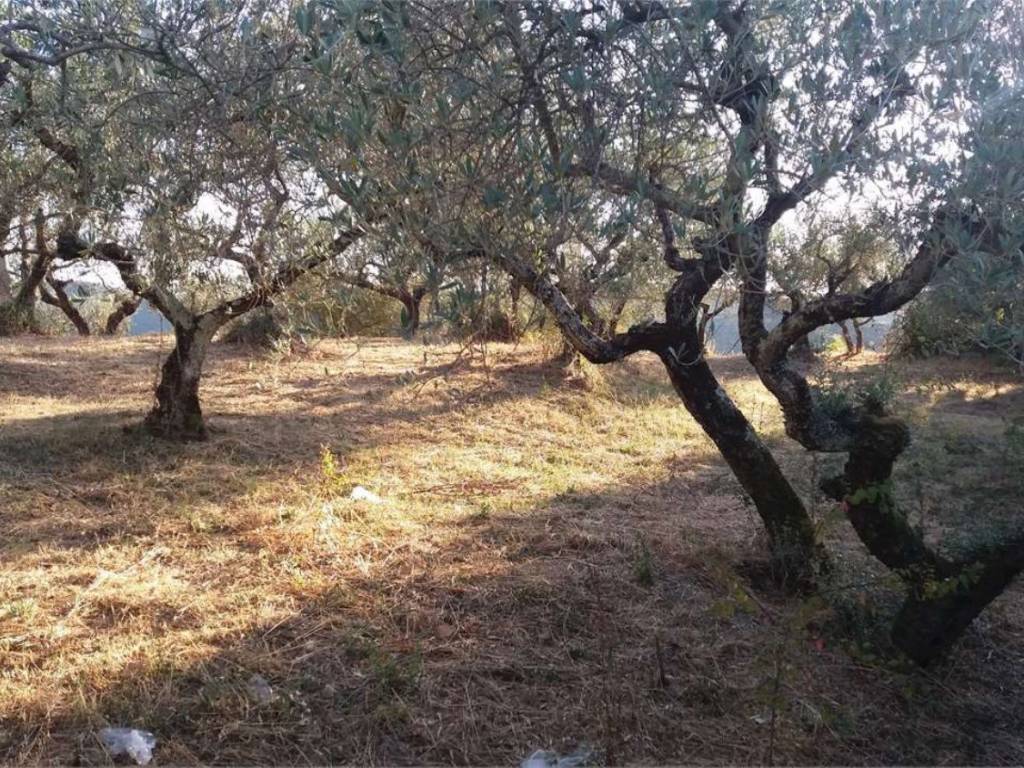 Terreno a Bettona in Via Belvedere S.N.C. - Foto 4
