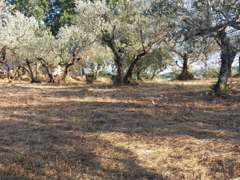 Terreno a Bettona in Via Belvedere S.N.C. - Foto 5