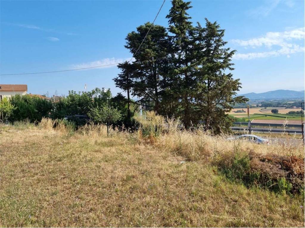 Terreno a Bettona in Via Colle, 1 - Foto 2