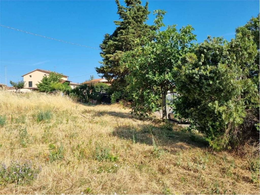 Terreno a Bettona in Via Colle, 1 - Foto 4