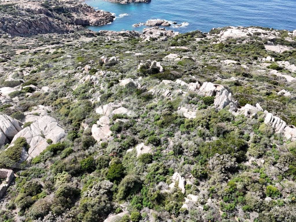 Terreno a Santa teresa gallura in Terreno panoramico edificabile La Colba Santa T., 20 - Foto 5