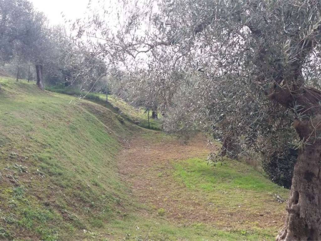 Terreno a Passignano sul trasimeno in Via Giacomo Brodolini S.N.C. - Foto 4