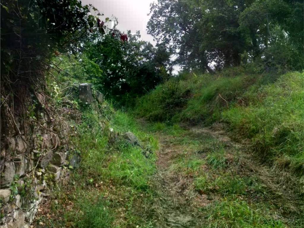 Rustico / casale a Cannara in Via Collemancio S.N.C. - Foto 2