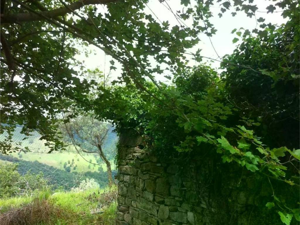 Rustico / casale a Cannara in Via Collemancio S.N.C. - Foto 5