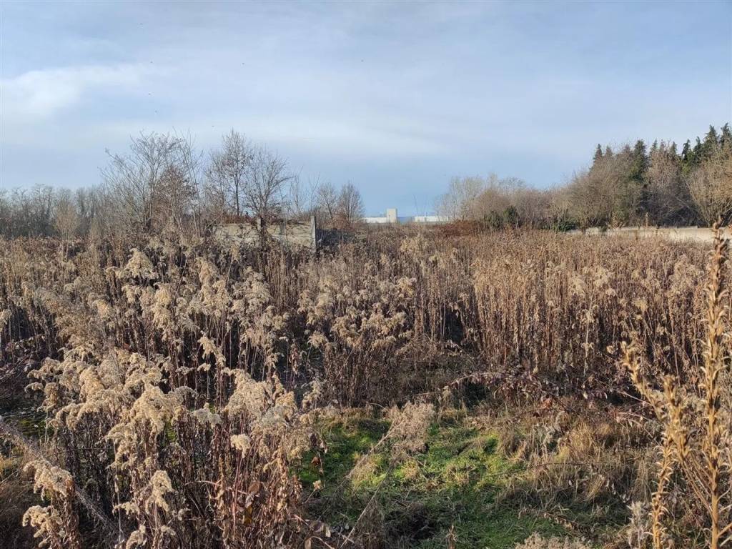 Terreno a Novara in Corso Risorgimento S.N.C. - Foto 2