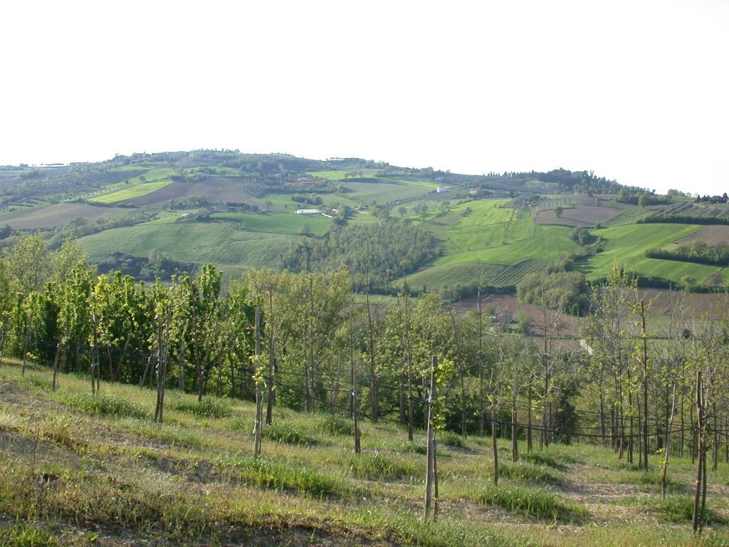 Terreno a Fratta todina in Via Spineta, 27 - Foto 3