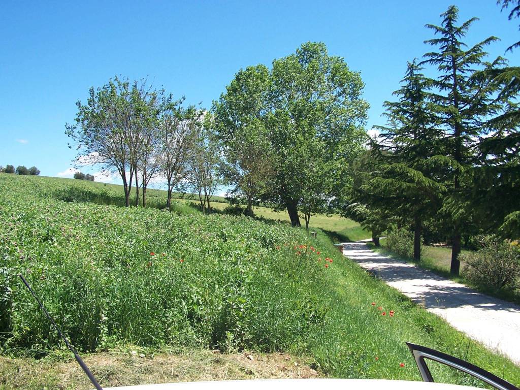 Terreno a Fratta todina in Via Spineta, 27 - Foto 4