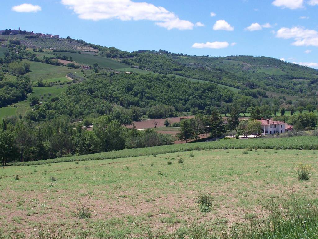 Terreno a Fratta todina in Via Spineta, 27 - Foto 5