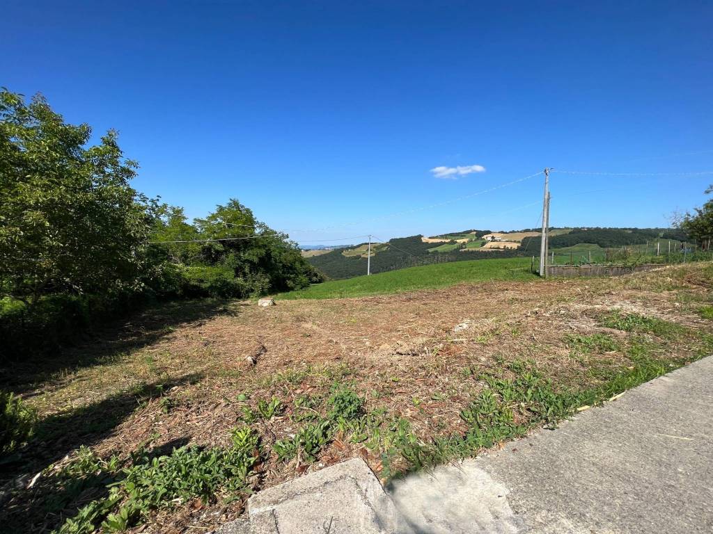 Terreno a Zocca - Foto 2