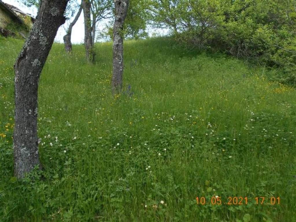 Villa a Cantalupo ligure in Borgo Adorno s.n.c - Foto 4