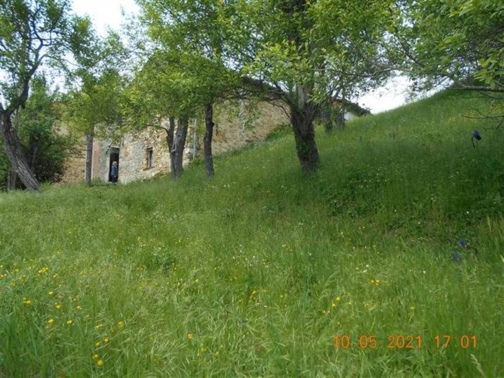 Villa a Cantalupo ligure in Borgo Adorno s.n.c - Foto 5