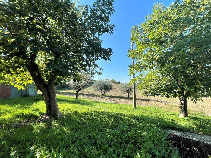 Rustico / casale a Corinaldo - Foto 5