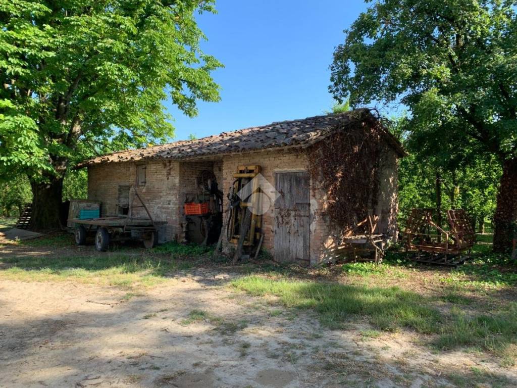 Rustico / casale a Bagnacavallo in Via abbadesse, 6 - Foto 4